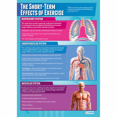 School Charts - The Short Term Effects of Exercise Laminated
